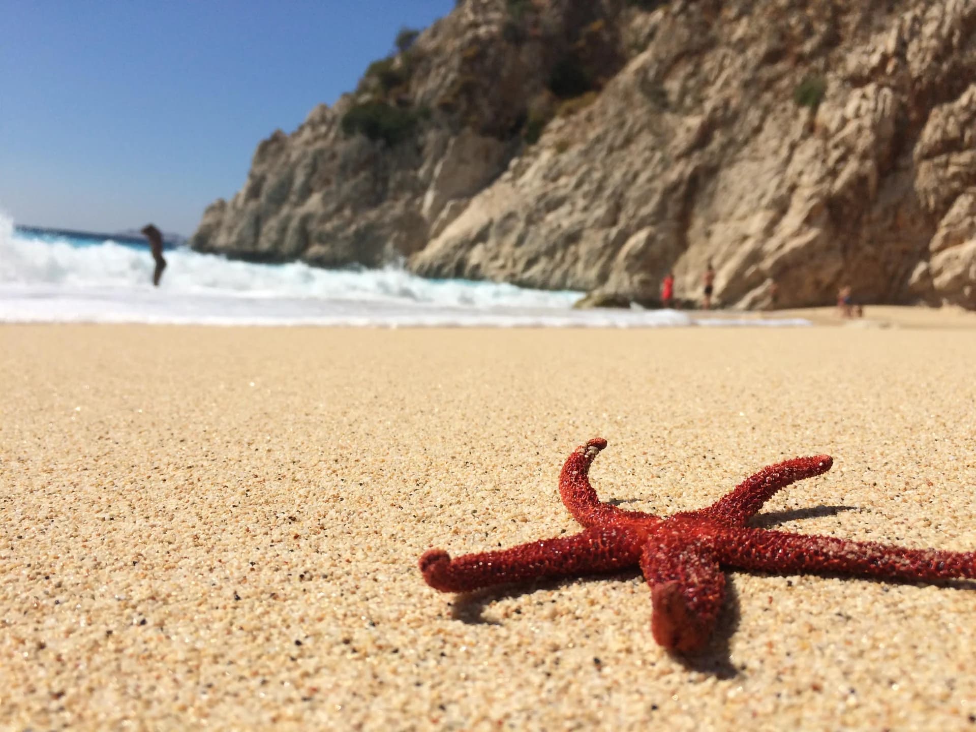 Yıldızlar Diyarı Kalkan