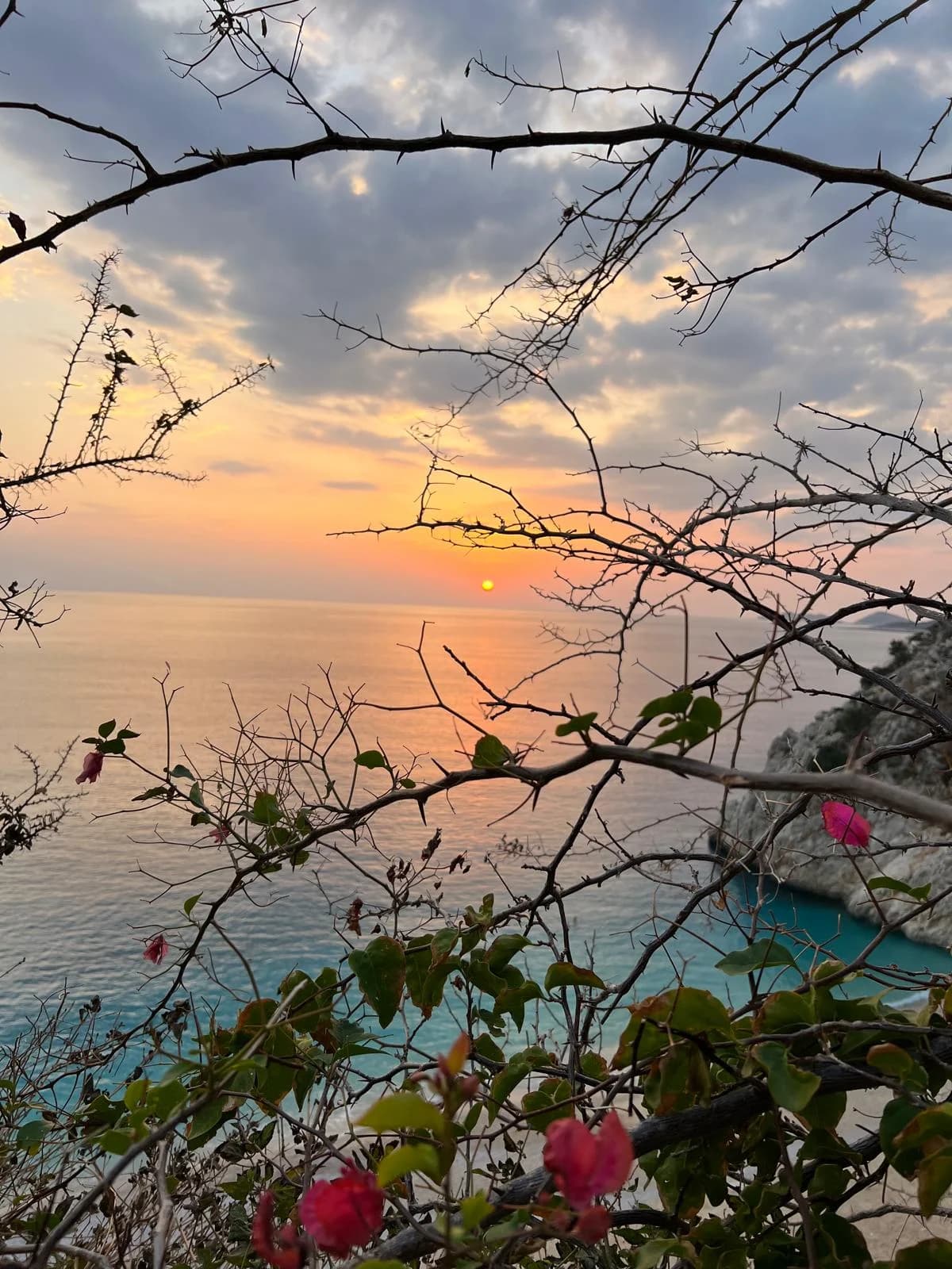Yıldızlar Diyarı Kalkan