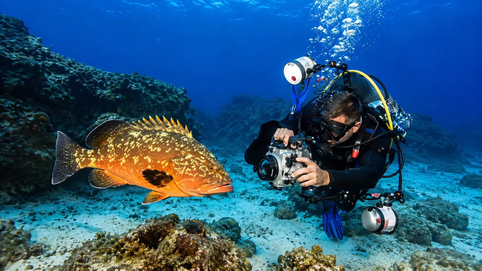Kaş'ta Dalış (Scuba) Deneyimi 2026 | Fiyatlar, Deneme Dalışı ve En İyi Dalış Noktaları